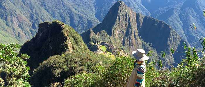 Machu Picchu + Mountain Ticket